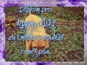 Diplom-pro-adgany