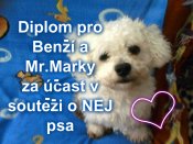 Diplom-pro-benzi