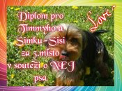 Diplom-pro-timmyho